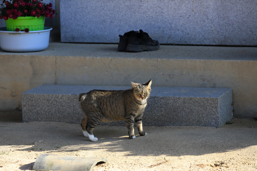 6278de2dedf47d60d27cd4537c41ca2f_1764713034_577.jpg 6278de2dedf47d60d27cd4537c41ca2f_1764713034_577.jpg