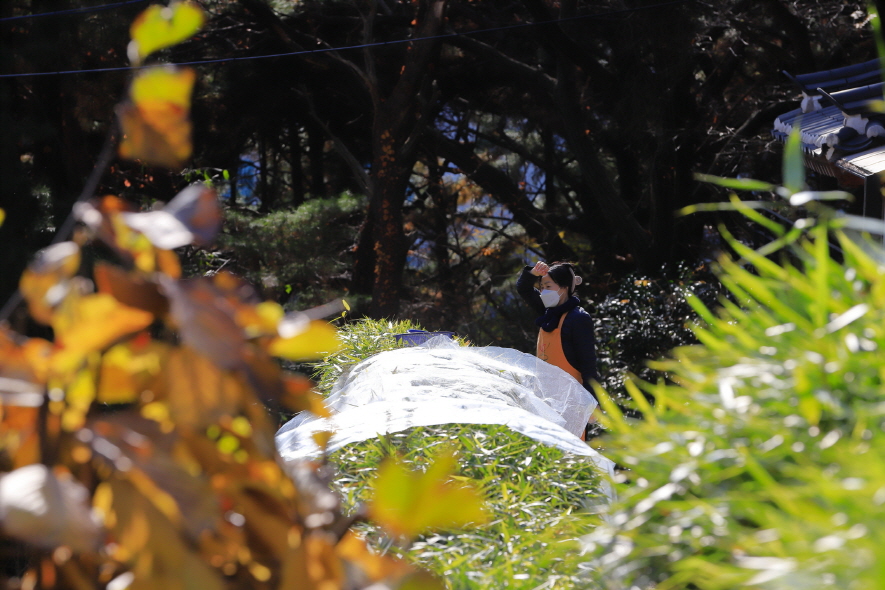 6278de2dedf47d60d27cd4537c41ca2f_1764713034_7192.jpg 6278de2dedf47d60d27cd4537c41ca2f_1764713034_7192.jpg